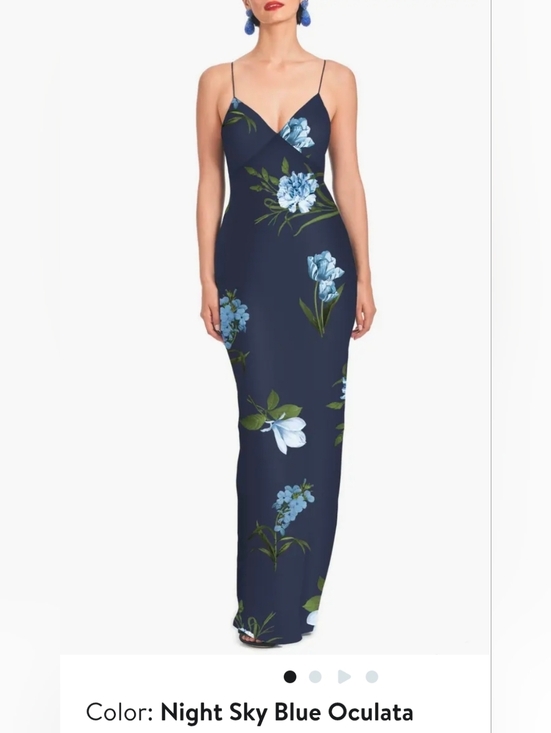 Sachin + Babi Dresses & Skirts - NWOT Sachin + Babi Floral Navy Blue A-Line, V-Neck Maxi Dress W/ Straps Sz 14